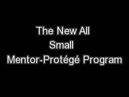 The New All Small  Mentor-Protégé Program