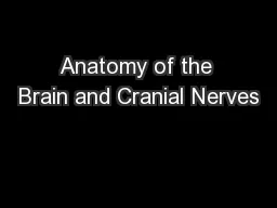 Anatomy of the Brain and Cranial Nerves