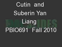 Cutin  and Suberin Yan Liang  PBIO691  Fall 2010