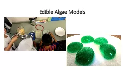 Edible Algae Models Review: