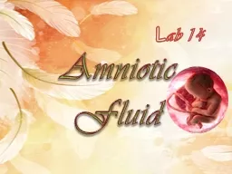 Amniotic Fluid L ab 14 Aminiotic