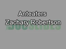 Anteaters Zachary Robertson