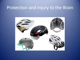 Protection and Injury to the Brain