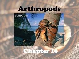 Arthropods Chapter 10 Arthropods