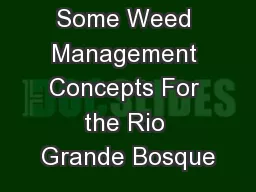 Some Weed Management Concepts For the Rio Grande Bosque