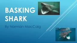 Basking shark By Norman MacCaig