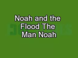 Noah and the Flood The Man Noah