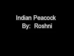 Indian Peacock By:  Roshni