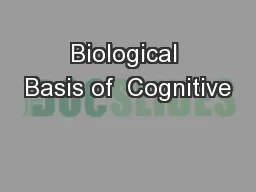 Biological Basis of  Cognitive