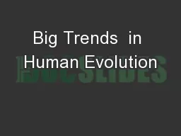 Big Trends  in Human Evolution