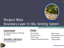 Project Bliss Boundary Layer In-Situ Sensing System