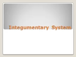 Integumentary System Welcome!