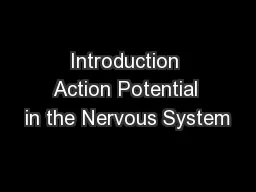 Introduction Action Potential in the Nervous System