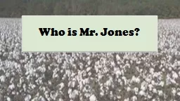 Who is Mr. Jones? A Little Bit About Mr. Jones