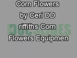 Corn Flowers by Ceri DD riffiths Corn Flowers Equipmen