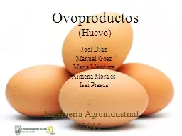 Ovoproductos (Huevo) Joel Díaz