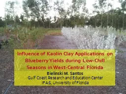 Influence of Kaolin Clay Applications on Blueberry Yields during Low-Chill Seasons in