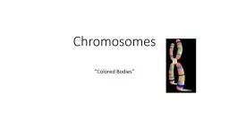 Chromosomes “Colored Bodies”