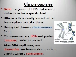 Chromosomes Gene  – segment of DNA that carries instructions for a specific trait