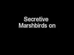 Secretive Marshbirds on