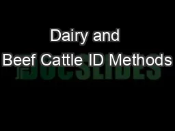 Dairy and Beef Cattle ID Methods