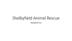 Shelbyfield Animal Rescue