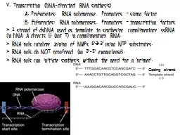 V. Transcription  (DNA-directed RNA