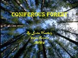 Coniferous Forest By: Jordan