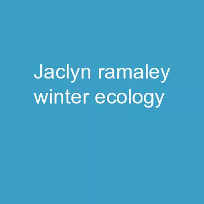 Jaclyn Ramaley  /  Winter Ecology