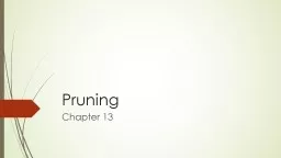 Pruning  Chapter 13 Pruning