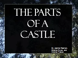 The Parts of a Castle By Jeanine Reeman, Brianne Dwyer, and Cristina Trezza