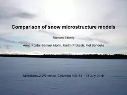 Comparison of snow microstructure models
