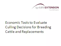 Economic Tools to Evaluate Culling Decisions for Breeding Cattle and Replacements