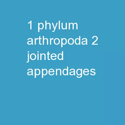 1 Phylum  Arthropoda 2 Jointed Appendages