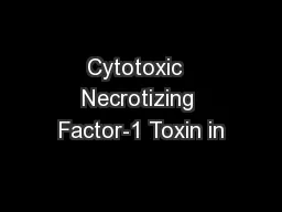 Cytotoxic  Necrotizing Factor-1 Toxin in