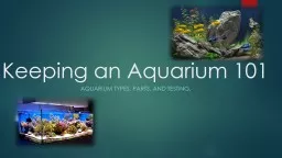 Keeping an  Aquarium 101