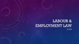Labour & employment law