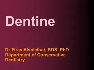 Dentine Dr Firas Alsoleihat, BDS, PhD