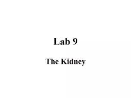 Lab 9 The Kidney Lab 9: The Kidney