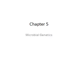Chapter  5 Microbial Genetics