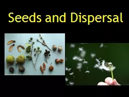 Seeds and Dispersal Seed- an undeveloped plant with stored food sealed in a protective