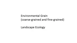 Environmental Grain  (coarse-grained and fine-grained)