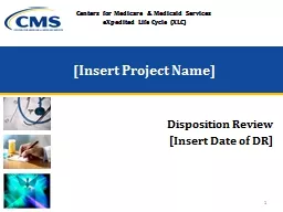 [Insert Project Name] Disposition Review