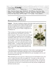 Common Name Cowslip Genus Primula Species veris Family