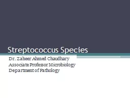 Streptococcus Species Dr. Zaheer Ahmed Chaudhary