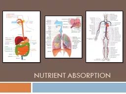Nutrient Absorption  How many different systems do you see?