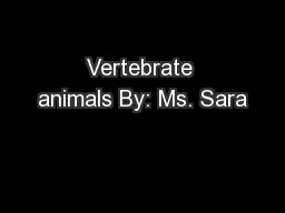 Vertebrate animals By: Ms. Sara