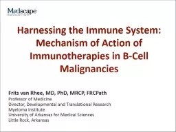 Harnessing the Immune System: Mechanism of Action of Immunotherapies in B-Cell Malignancies