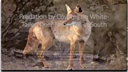 Predation by Coyotes on White-Tailed