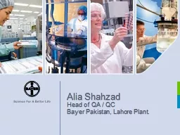 Alia Shahzad Head  of  QA / QC
